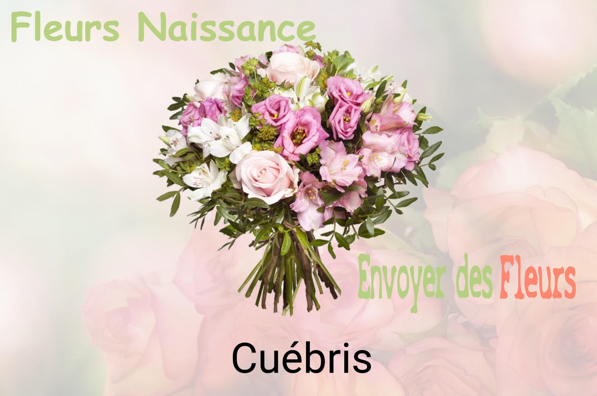 Bouquet de fleurs de naissance livré à Cuébris
