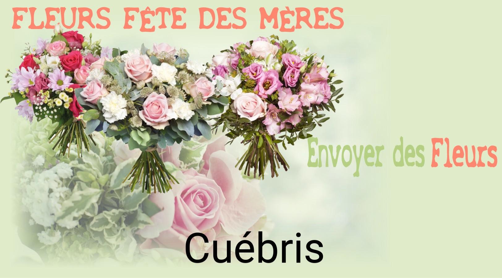 Bouquet de Fête des Mères livré à Cuébris